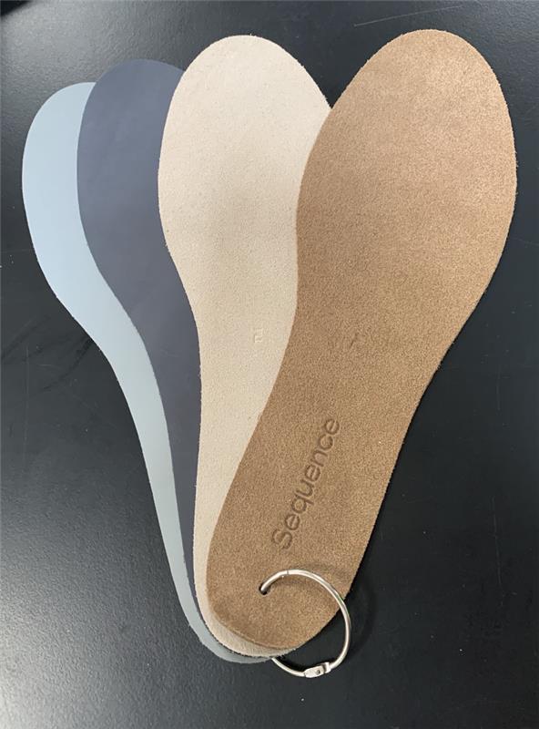 SEQ - Top Layer Samples