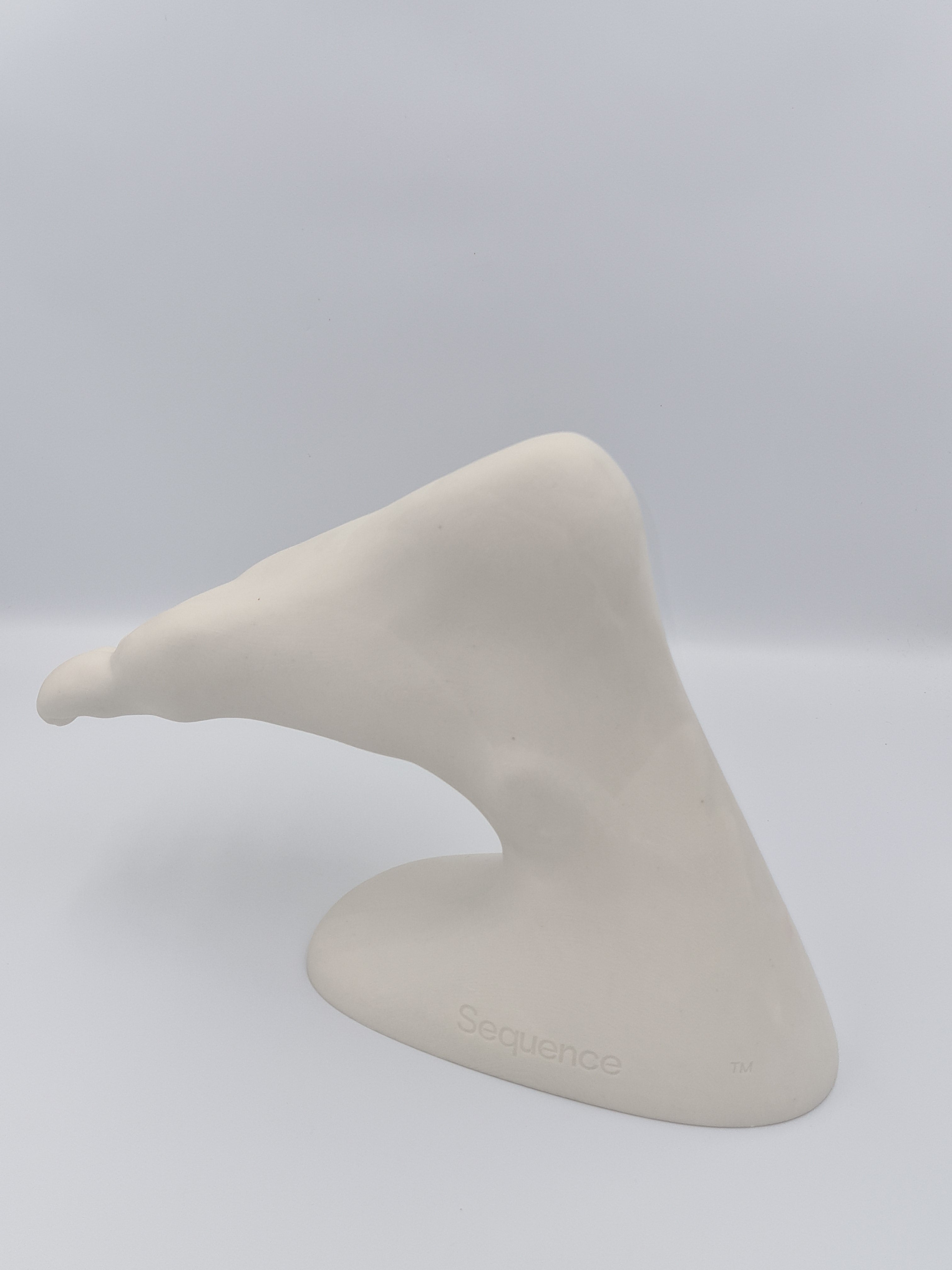 SEQ - 3D-Printed Foot - Orthopaedics